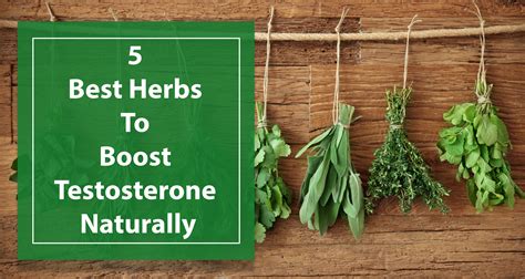 We always recommend you talk to your Health . . Herbs that lower testosterone
